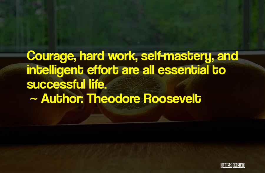 Hard Work And Effort Quotes By Theodore Roosevelt