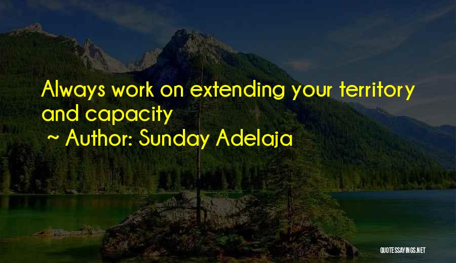 Hard Work And Life Quotes By Sunday Adelaja