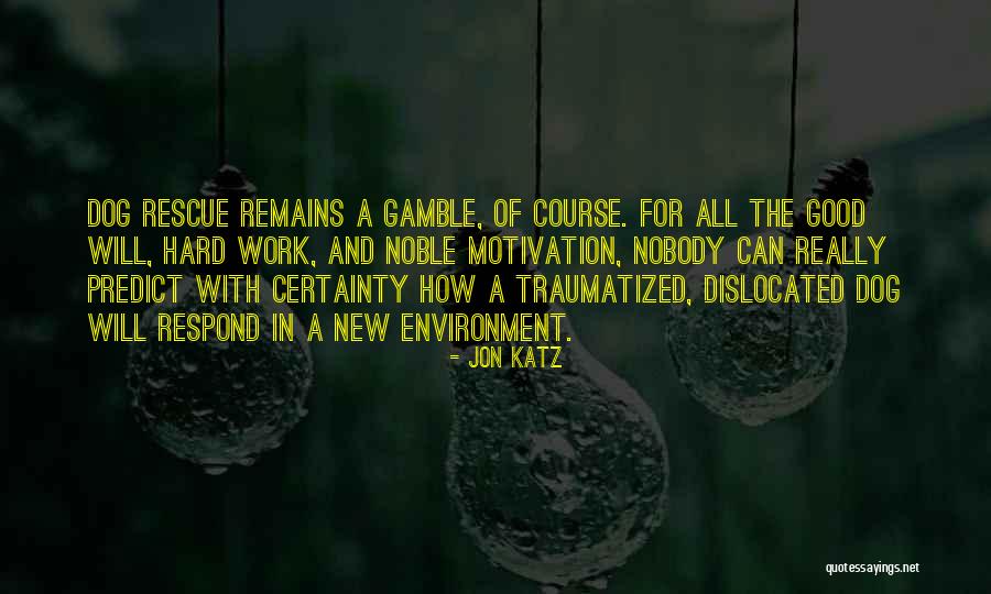 Hard Work And Motivation Quotes By Jon Katz