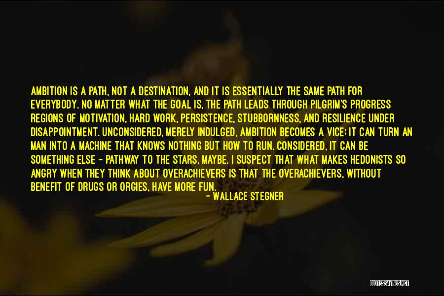 Hard Work And Motivation Quotes By Wallace Stegner