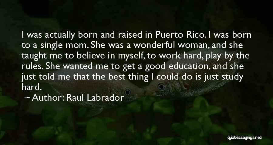 Hard Work And Play Quotes By Raul Labrador