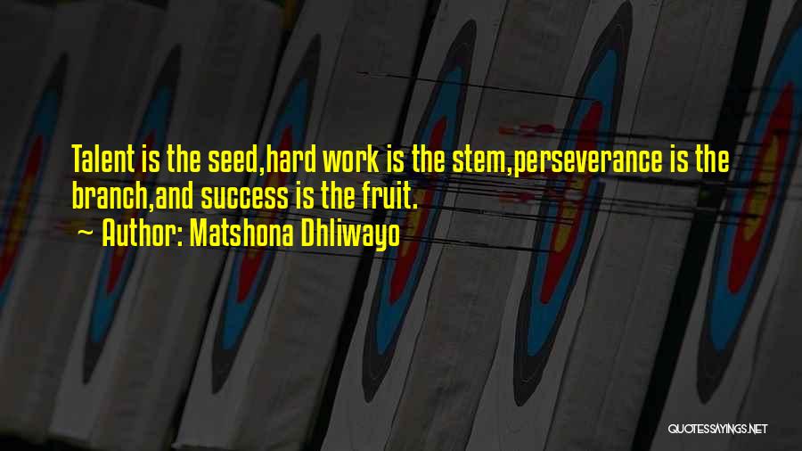 Hard Work And Success Quotes By Matshona Dhliwayo