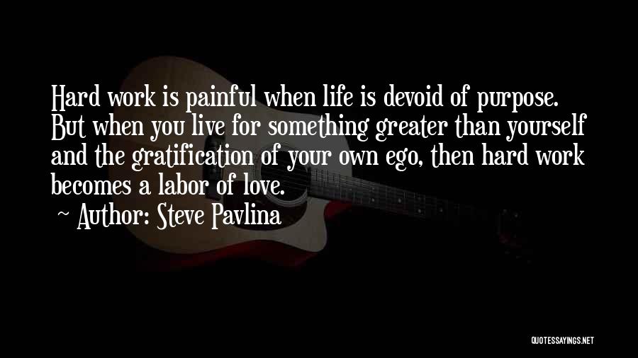 Hard Work Life Quotes By Steve Pavlina