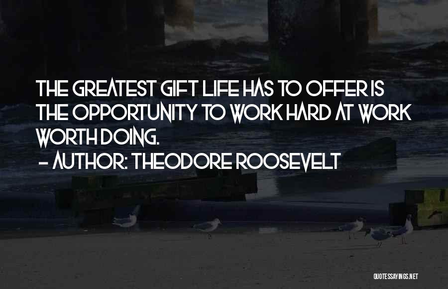 Hard Work Life Quotes By Theodore Roosevelt