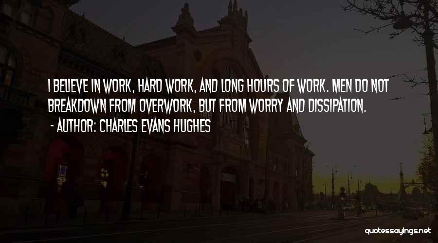 Hard Work Long Hours Quotes By Charles Evans Hughes