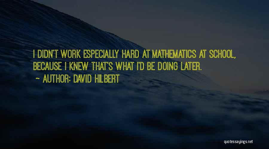 Hard Work School Quotes By David Hilbert