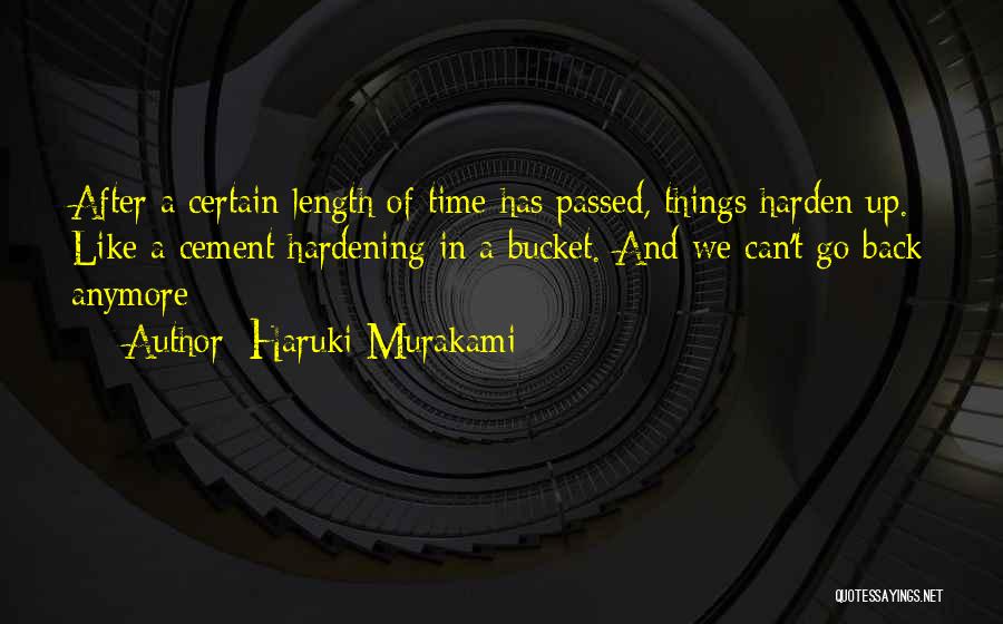 Harden Up Quotes By Haruki Murakami