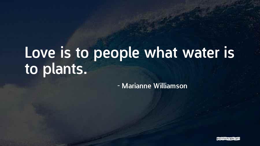 Hardenbrook Chiropractic Quotes By Marianne Williamson Hardenbrook Chiropractic Quotes By Marianne Williamson