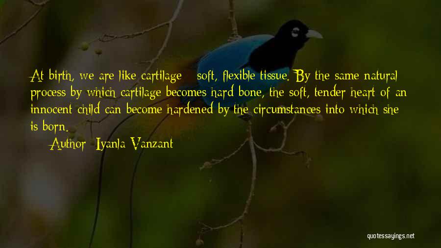 Hardened Heart Quotes By Iyanla Vanzant