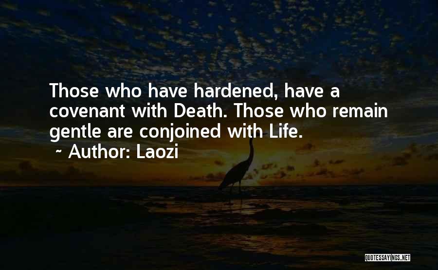 Hardened Quotes By Laozi