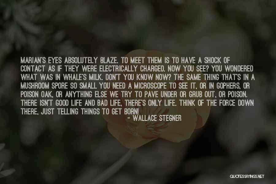 Hardest Part Of Goodbye Quotes By Wallace Stegner Hardest Part Of Goodbye Quotes By Wallace Stegner