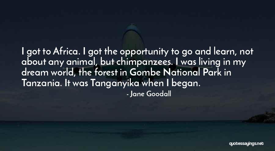 Hardev Ji Baba Ji Pearls Of Wisdom Quotes By Jane Goodall Hardev Ji Baba Ji Pearls Of Wisdom Quotes By Jane Goodall