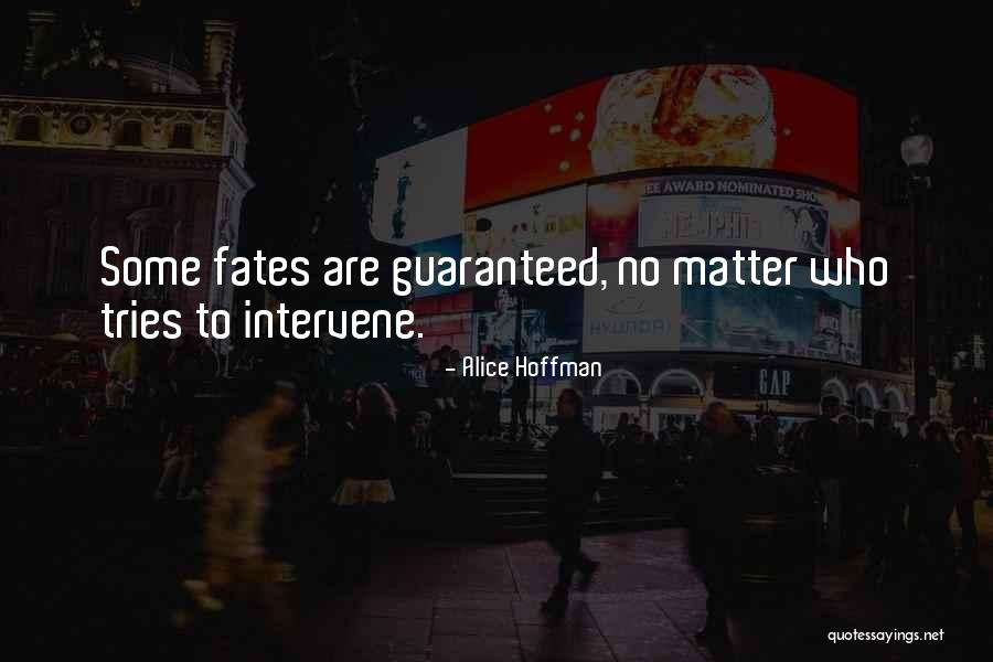 Hardhearted Clue Quotes By Alice Hoffman Hardhearted Clue Quotes By Alice Hoffman