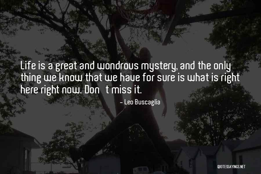 Hardline Crawlers Quotes By Leo Buscaglia Hardline Crawlers Quotes By Leo Buscaglia