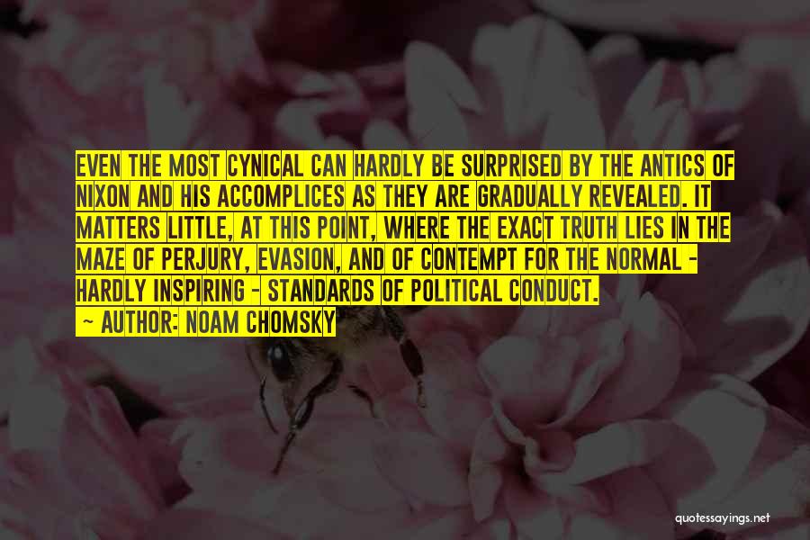 Hardly Matters Quotes By Noam Chomsky