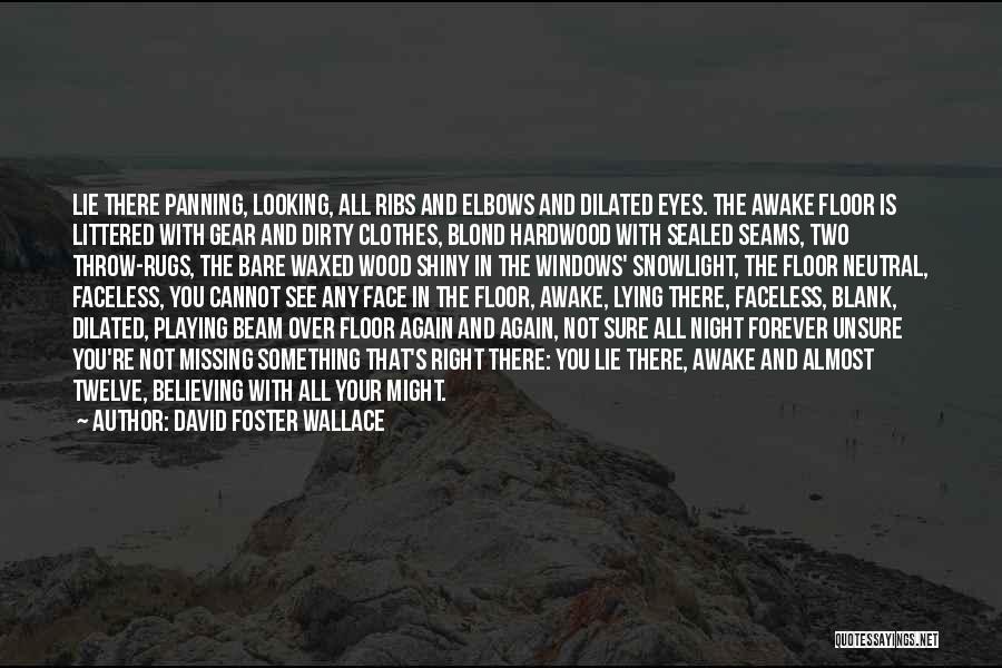 Hardwood Floor Quotes By David Foster Wallace