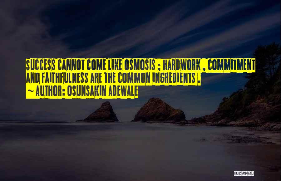 Hardwork And Success Quotes By Osunsakin Adewale