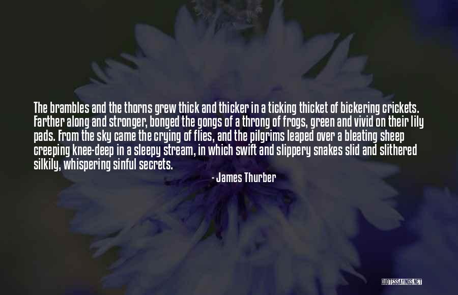 Hardworking Student Quotes By James Thurber Hardworking Student Quotes By James Thurber