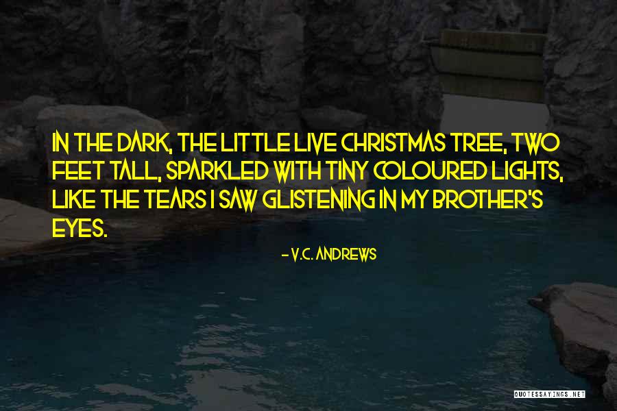 Haregewein Quotes By V.C. Andrews Haregewein Quotes By V.C. Andrews