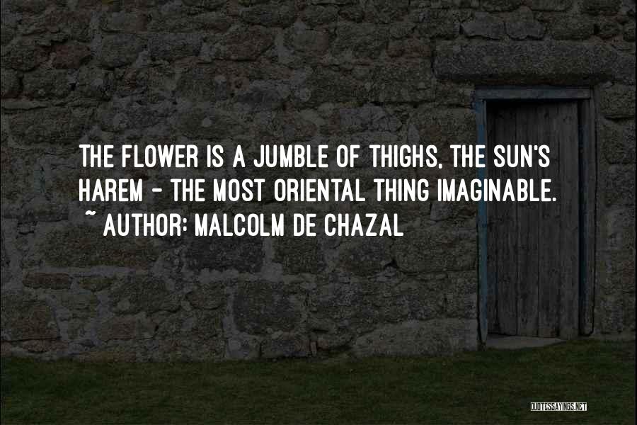 Harem Quotes By Malcolm De Chazal