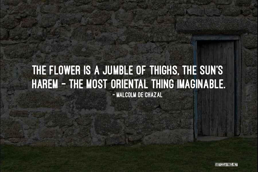 Harem Quotes By Malcolm De Chazal Harem Quotes By Malcolm De Chazal