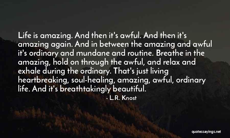 Harfouche Quotes By L.R. Knost Harfouche Quotes By L.R. Knost