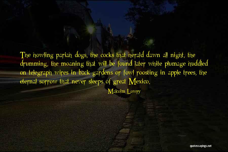Haridath Quotes By Malcolm Lowry Haridath Quotes By Malcolm Lowry