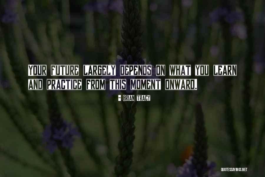 Harilena Shpk Quotes By Brian Tracy