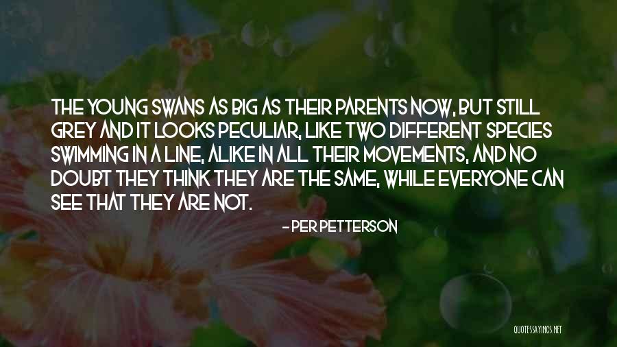 Harilena Shpk Quotes By Per Petterson