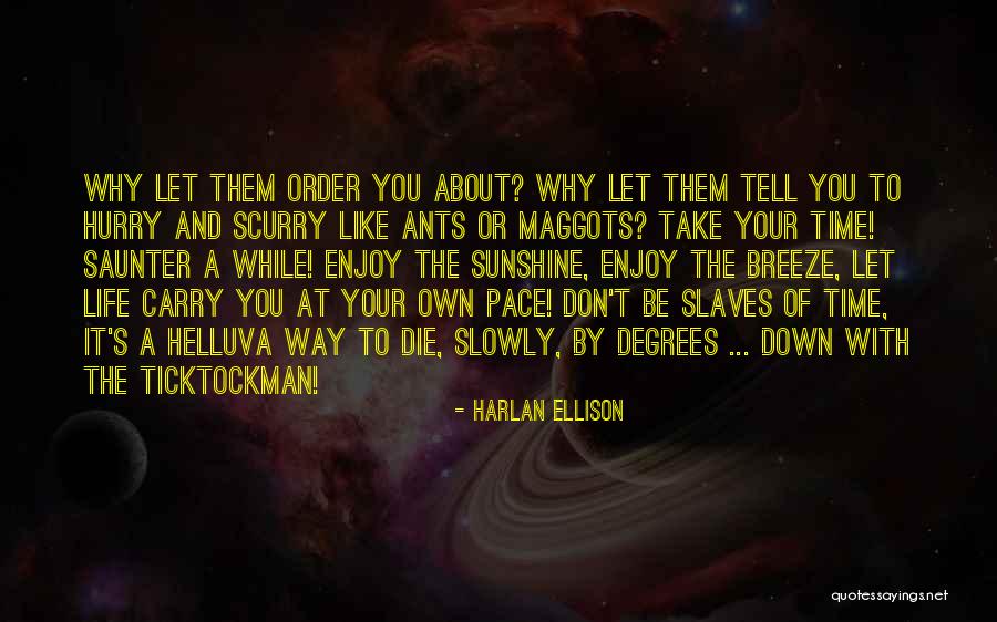 Harlan Ellison Quotes 1671536 Harlan Ellison Quotes 1671536
