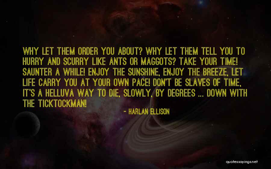 Harlan Ellison Quotes 1671536