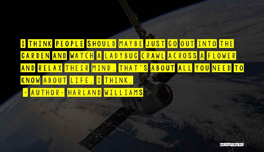 Harland Williams Quotes 309349