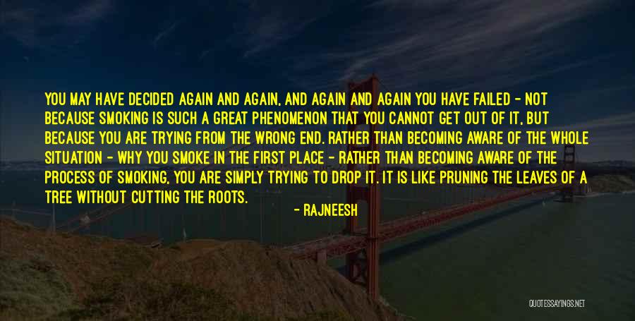 Harlans Red Tailed Quotes By Rajneesh Harlans Red Tailed Quotes By Rajneesh