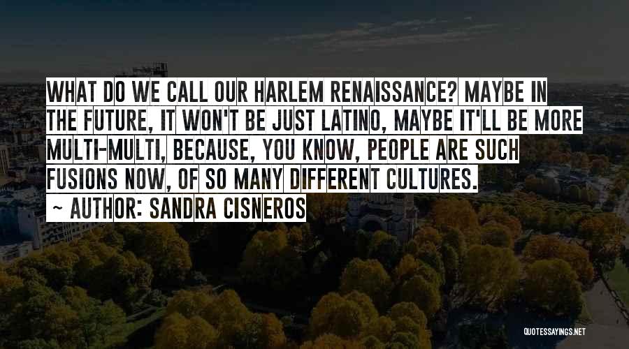 Harlem Renaissance Quotes By Sandra Cisneros