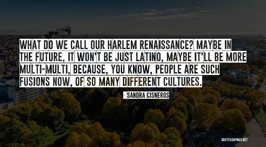 Harlem Renaissance Quotes By Sandra Cisneros