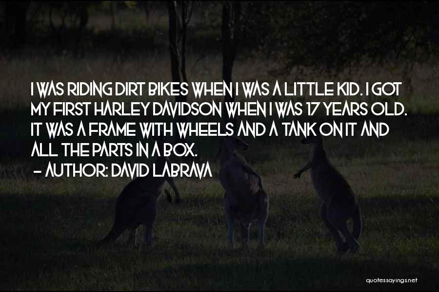 Harley Davidson Quotes By David Labrava
