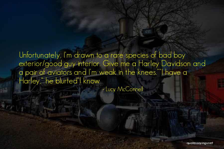 Harley Davidson Quotes By Lucy McConnell