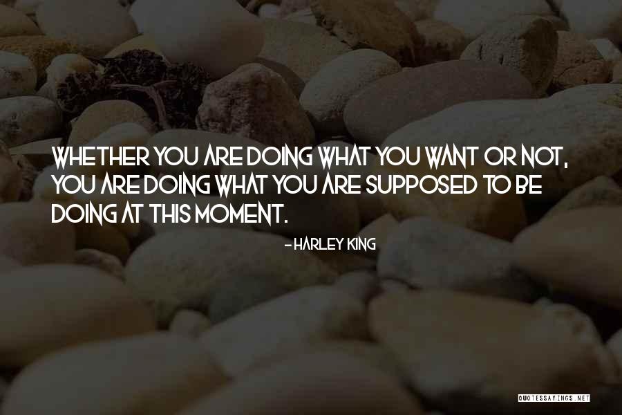 Harley King Quotes 883381
