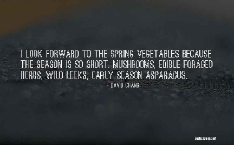 Harloff Bmw Quotes By David Chang Harloff Bmw Quotes By David Chang