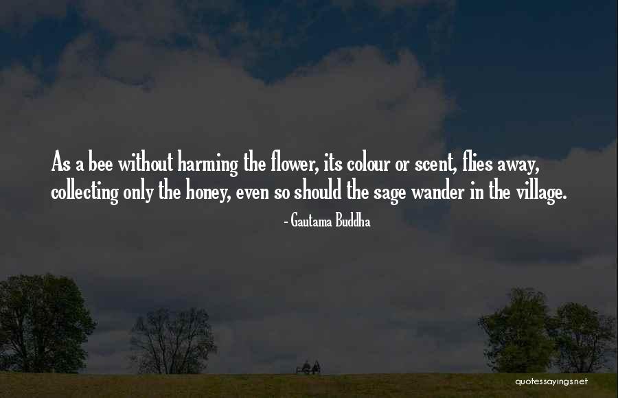 Harming Quotes By Gautama Buddha Harming Quotes By Gautama Buddha