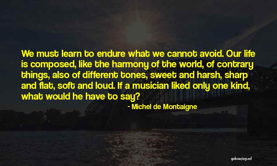 Harmony In Diversity Quotes By Michel De Montaigne