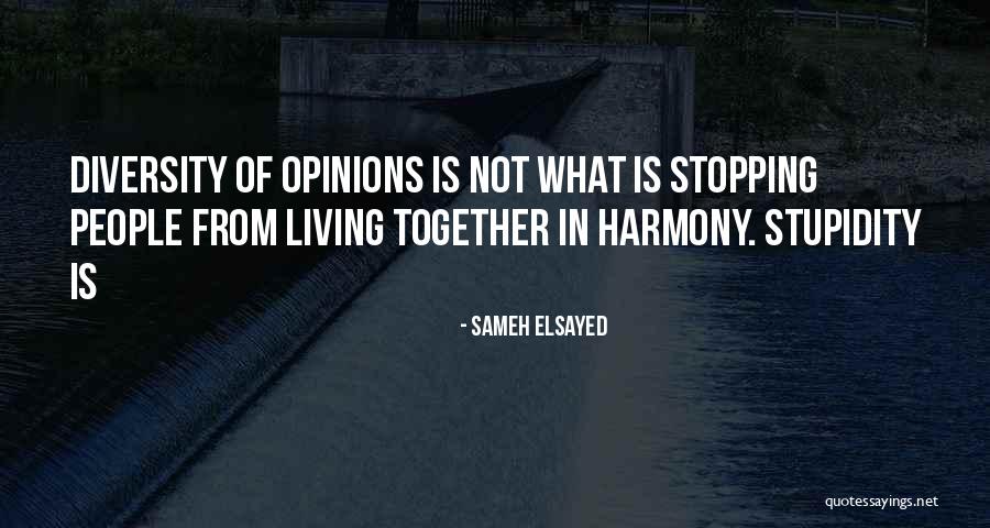 Harmony In Diversity Quotes By Sameh Elsayed