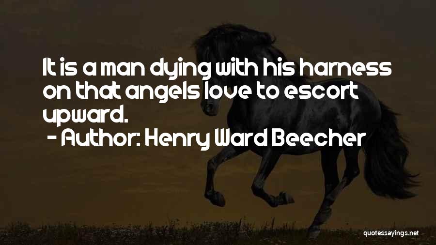 Harness Quotes By Henry Ward Beecher