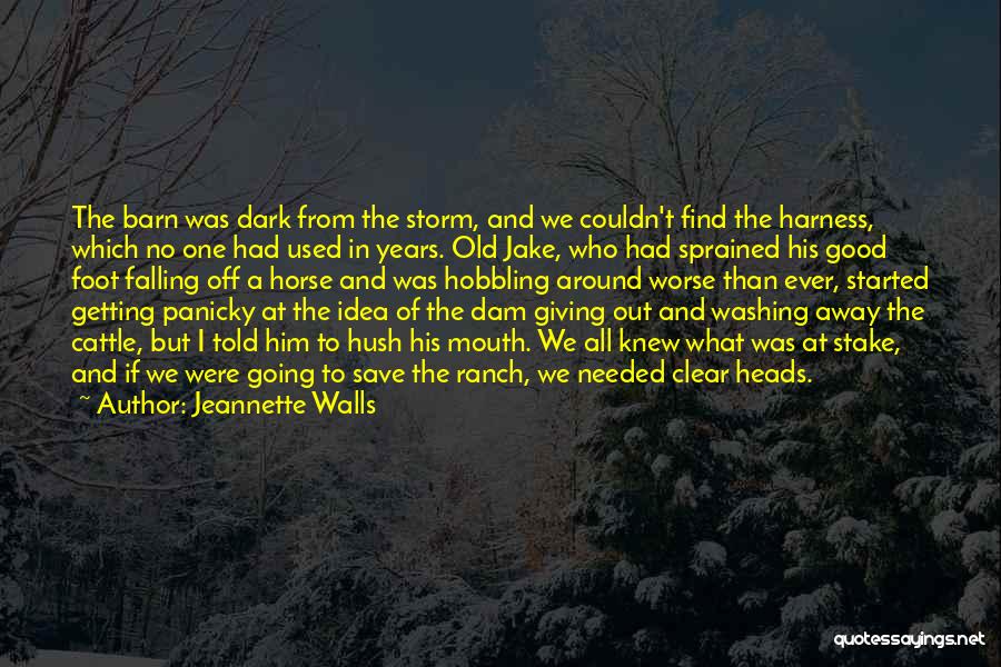 Harness Quotes By Jeannette Walls