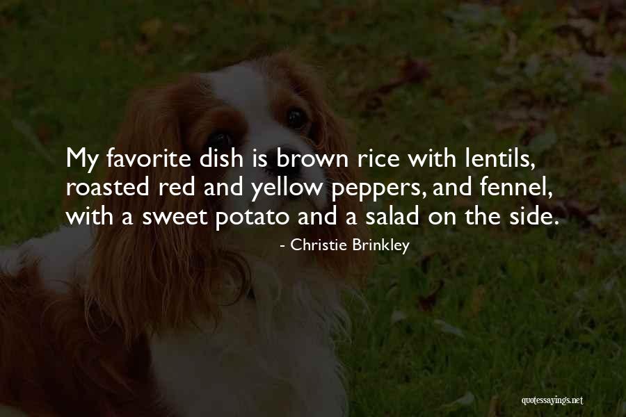 Harnesses For Cats Quotes By Christie Brinkley Harnesses For Cats Quotes By Christie Brinkley