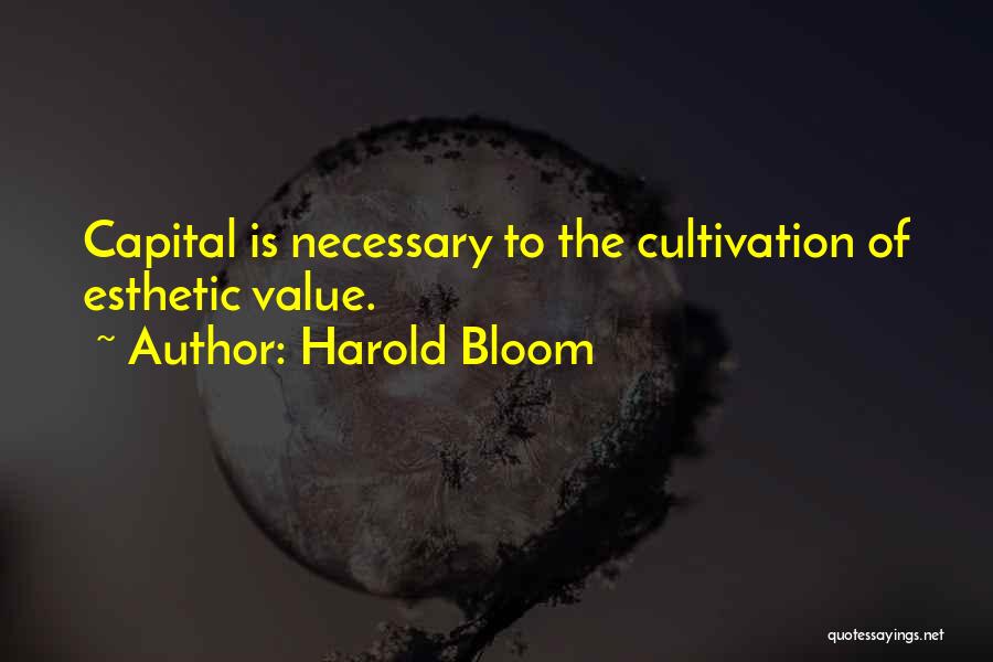 Harold Bloom Quotes 1108344