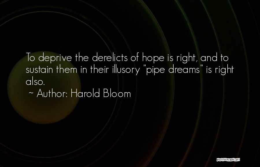 Harold Bloom Quotes 1164207