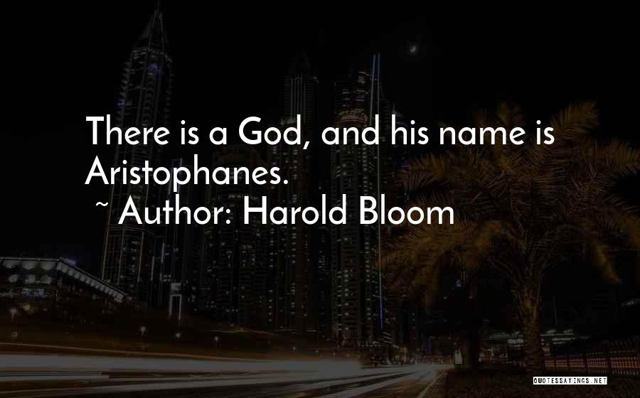 Harold Bloom Quotes 1171675