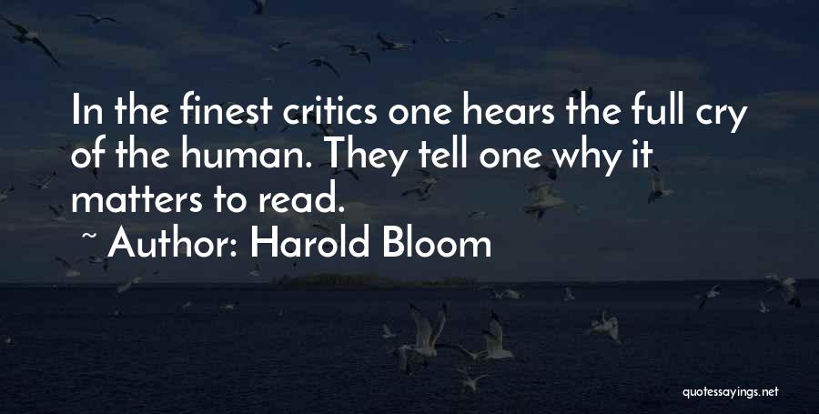 Harold Bloom Quotes 1249343