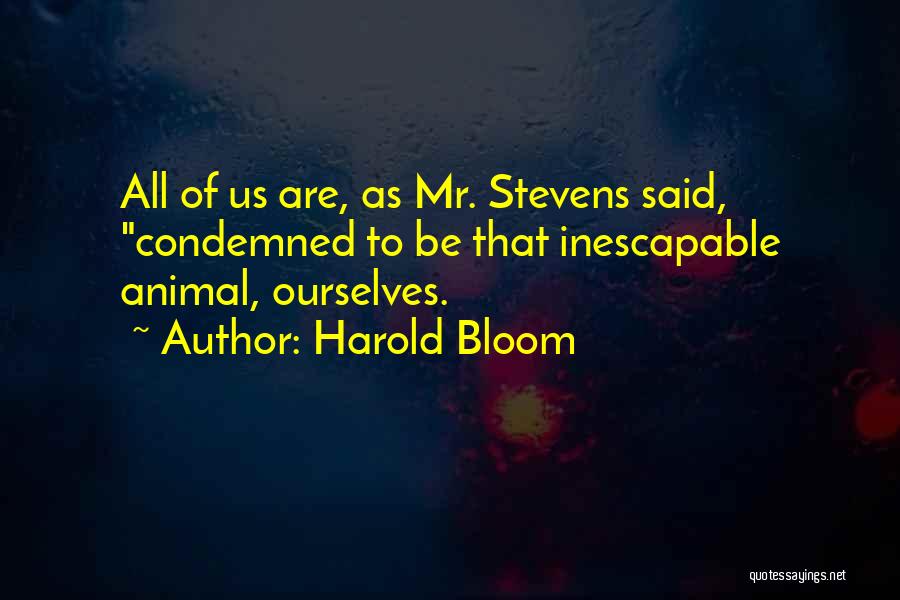 Harold Bloom Quotes 1414732